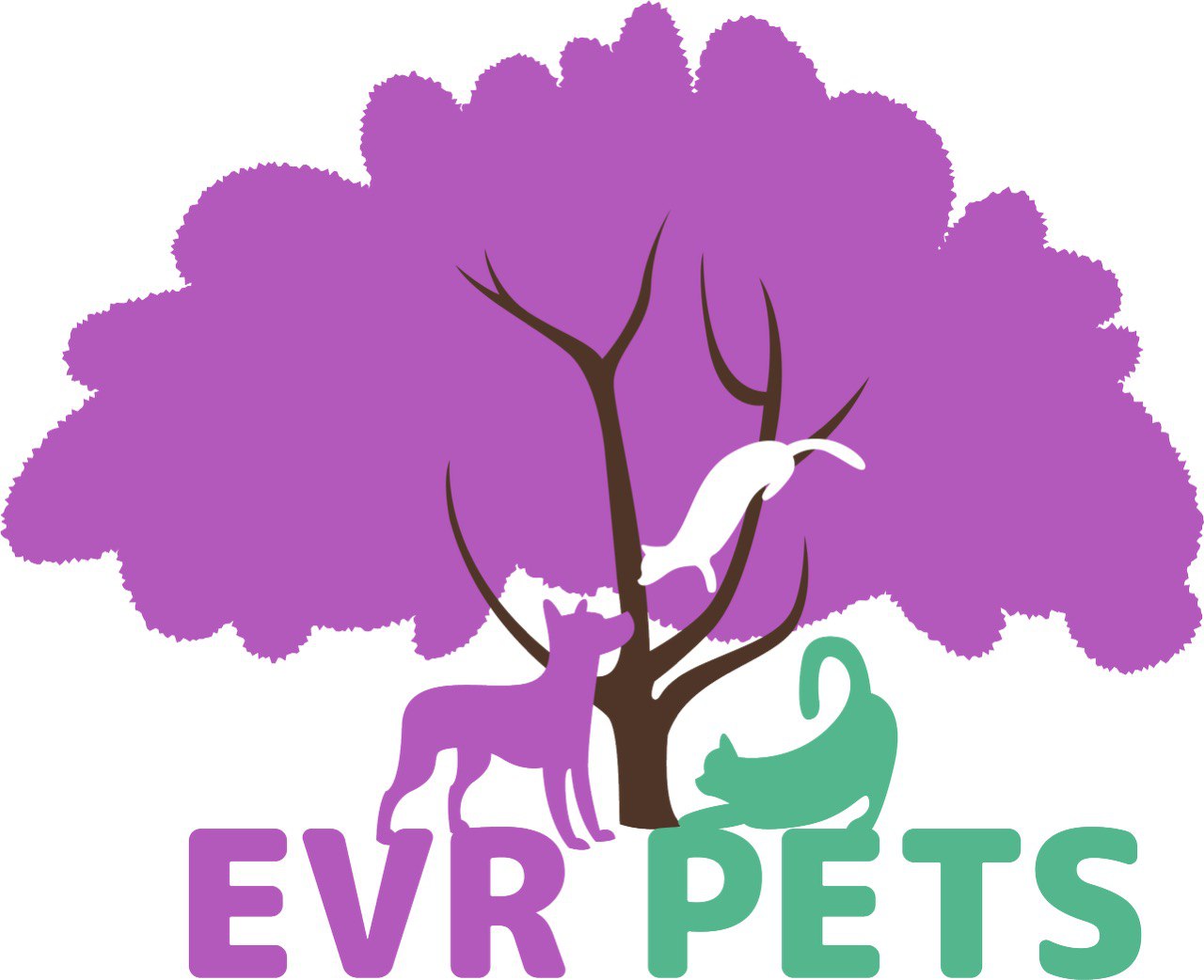 Hospital Veterinario EVR PETS